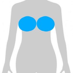乳